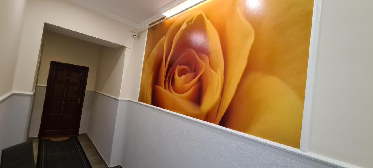 سيغيد Rozsa Apartmanhaz المظهر الخارجي الصورة